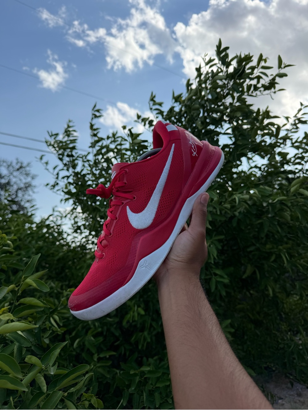 Nike Kobe 8 Proto University Red